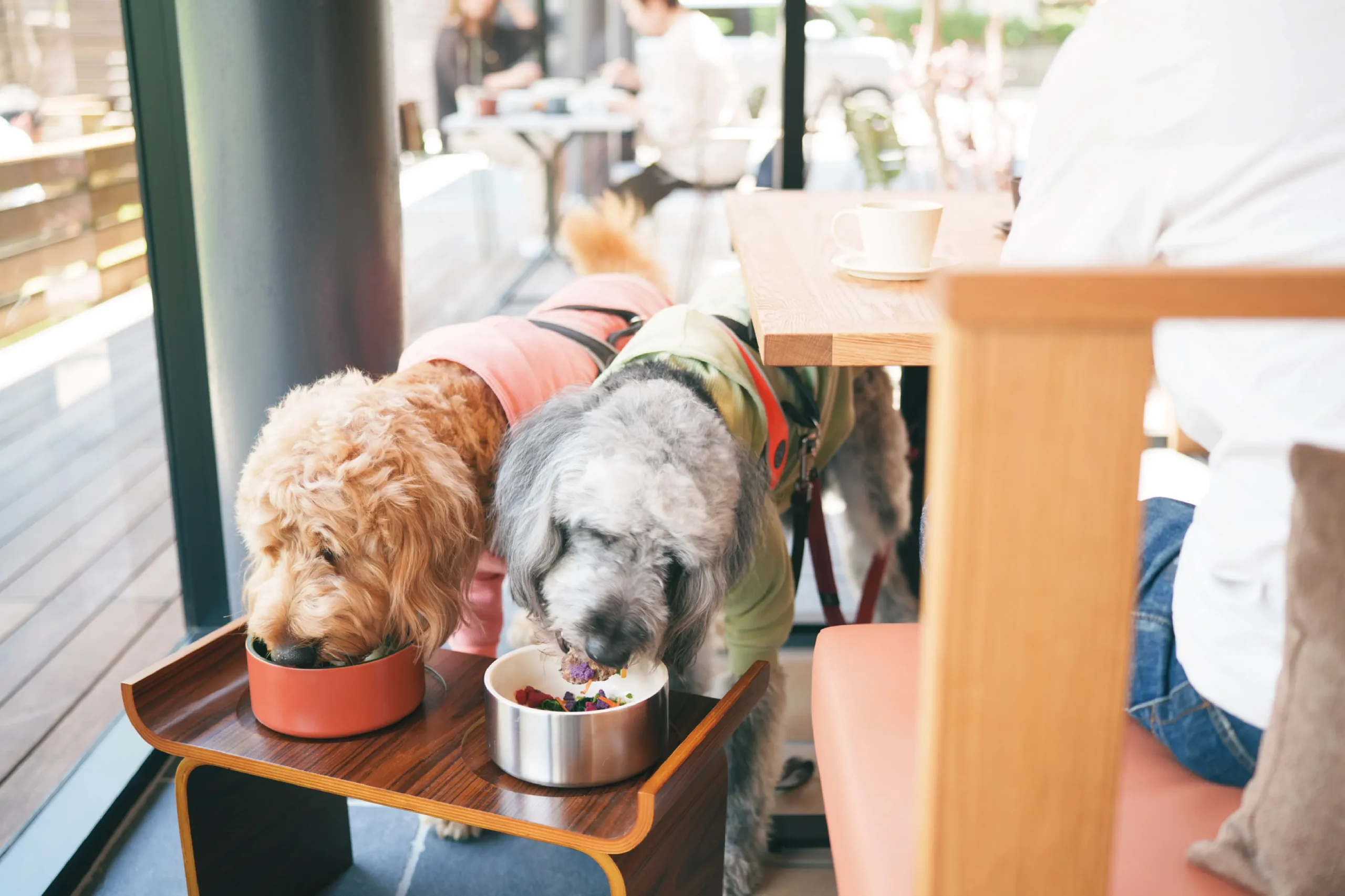dogmenu